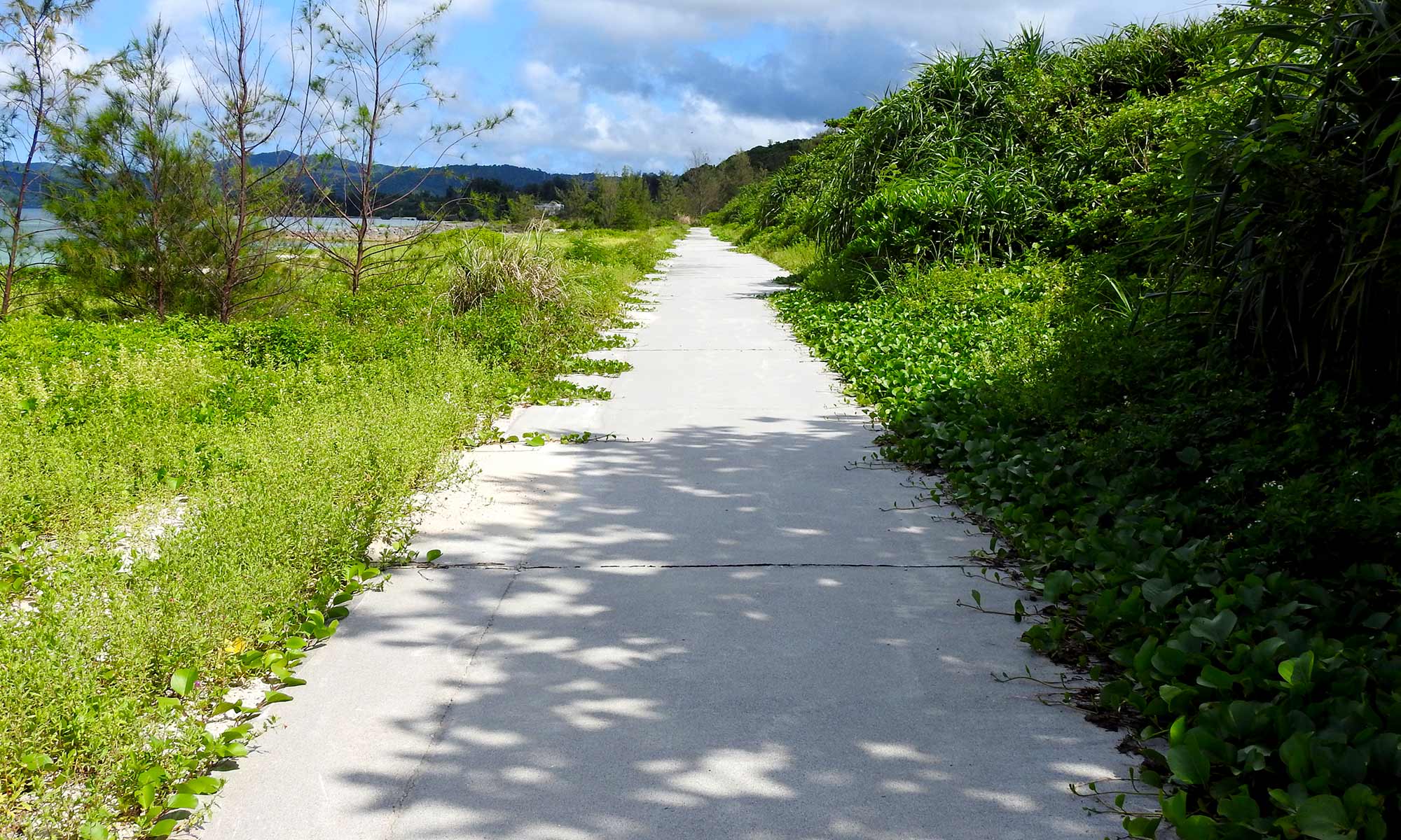 ビーチ沿いの遊歩道